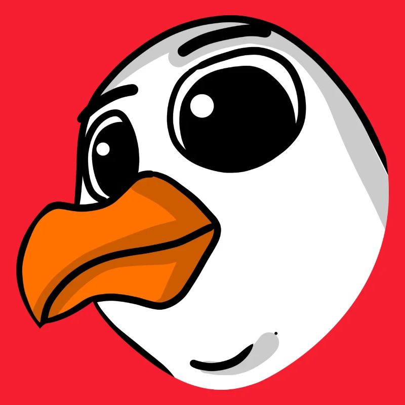 Möwe Kopf