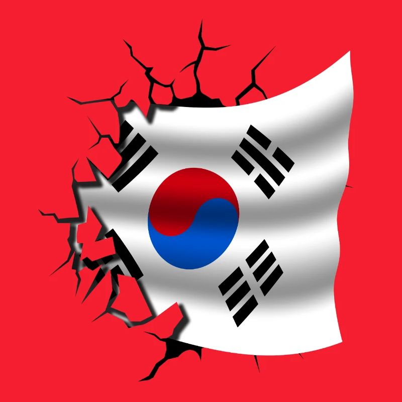 Drapeau de la Corée - Corée - Drapeau Broken Design