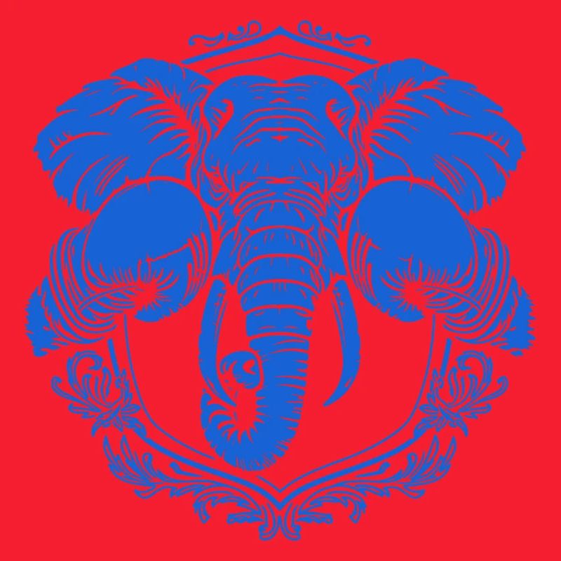 Elefant Boxer