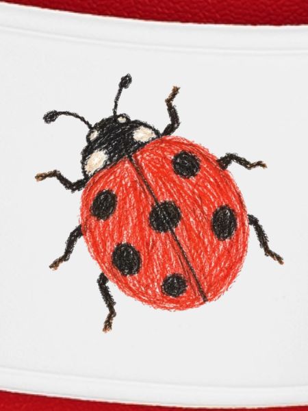 Siebenfleckige Marienkäfer Buntstiftzeichnung