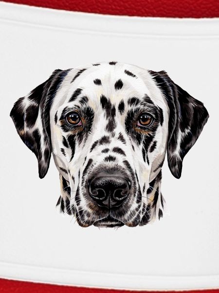 Dalmatiner Hund Porträt Illustration
