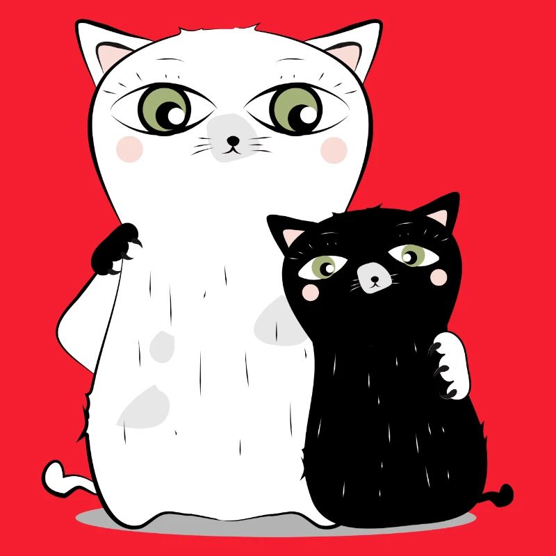 weiße Katze schwarzer Kater