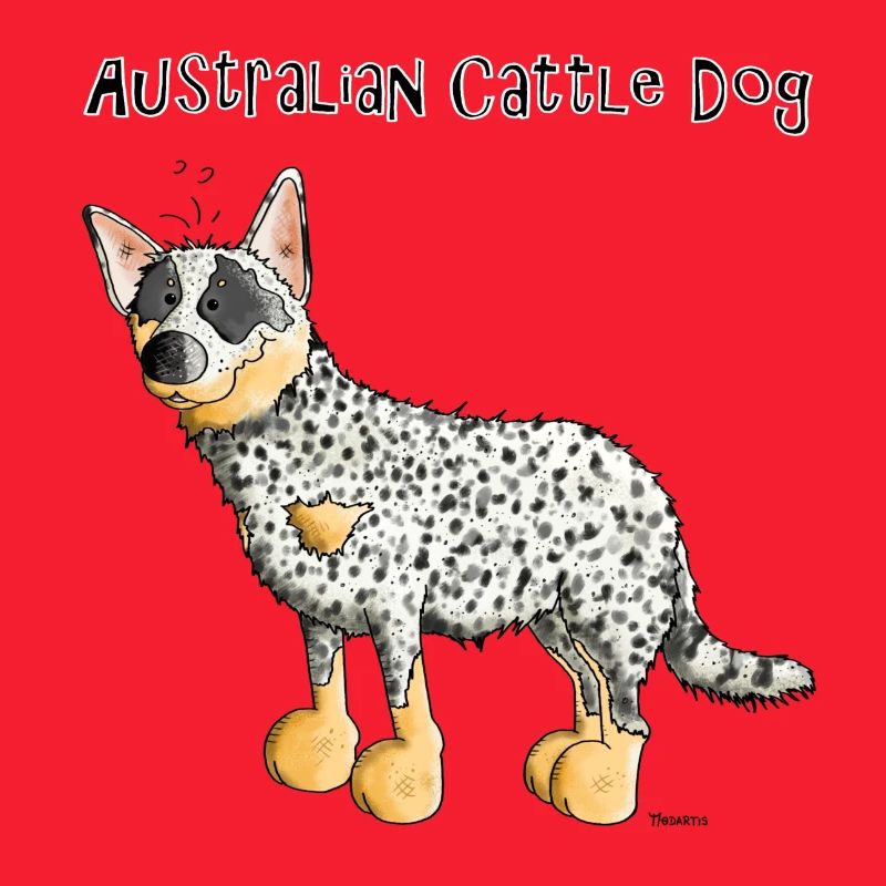 Bouvier Australien - Australian Cattle Dog
