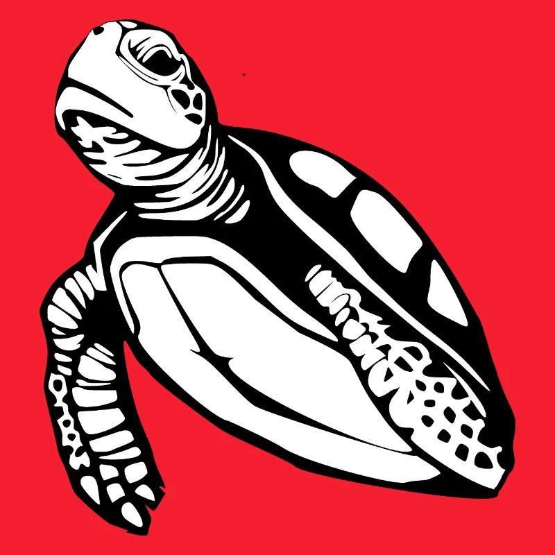 Turtle Turtles T-shirt Gift