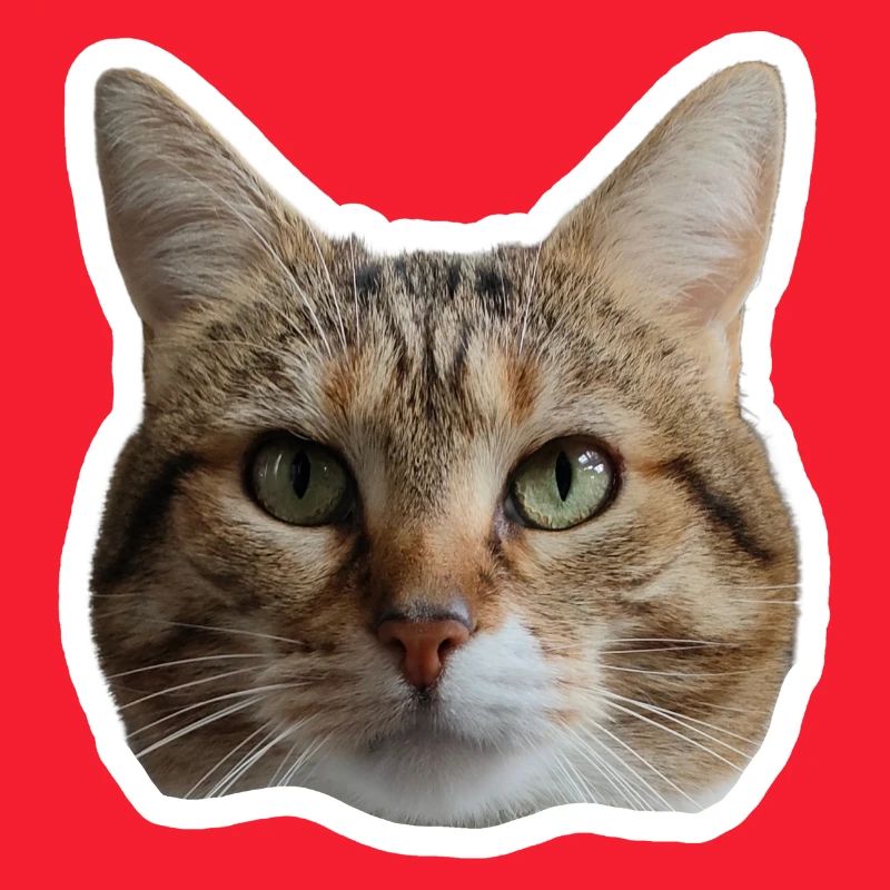Sticker Missty