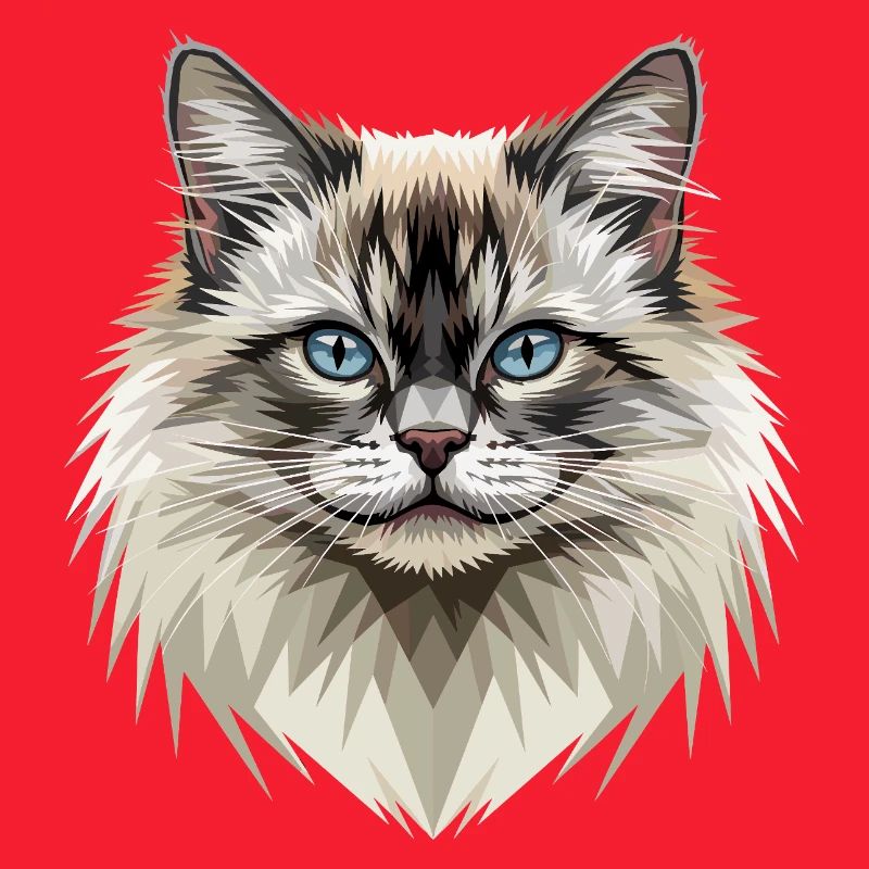 Birman Cat Sacred Birman Cat Cute Birman Cats