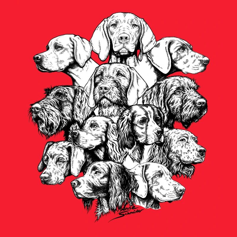 Chiens pointant des objets cachés