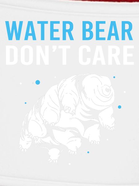 Bärtierchen Tardigrades Wasserbär Tardigrade