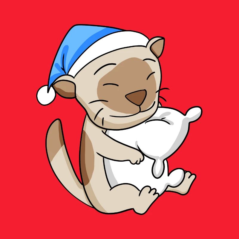 Chat Cat Race Chat Birman