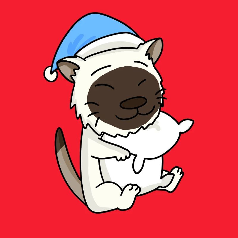 Chat race de chat Birmanie