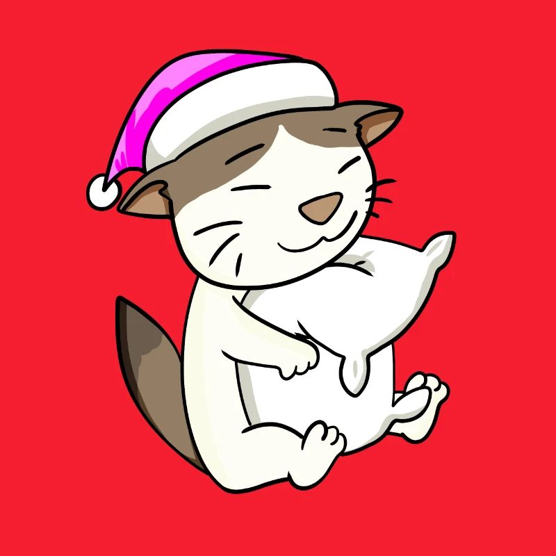 Chat race de chat RagaMuffin