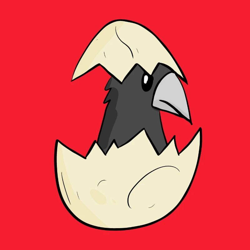 Bébé corbeau