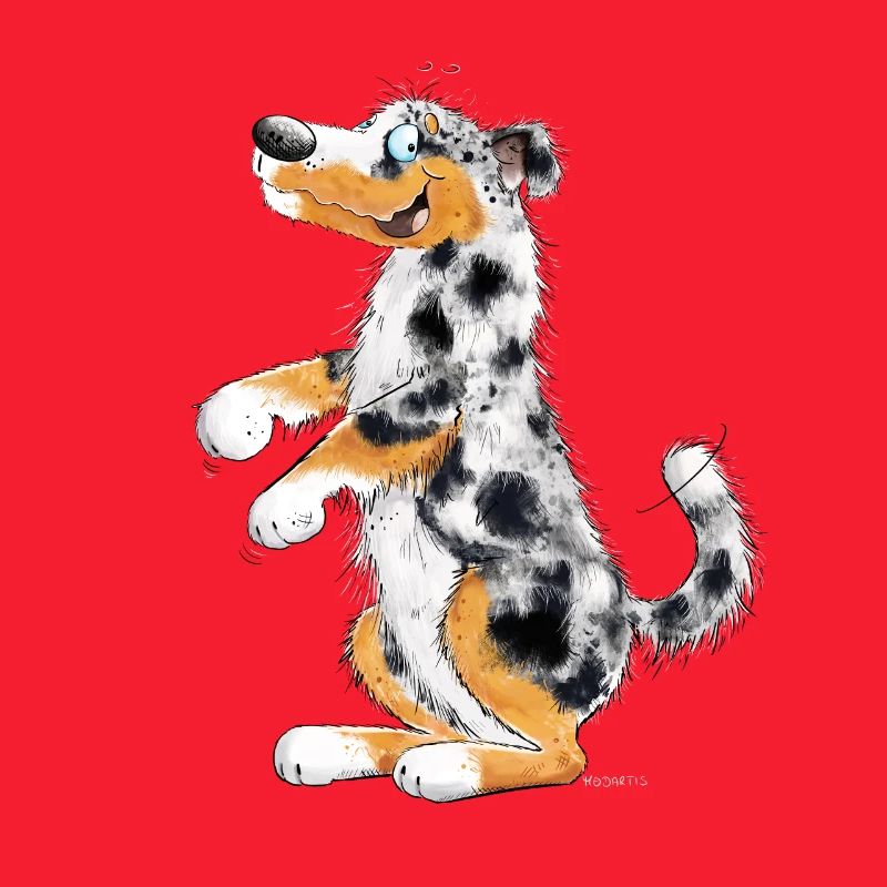 Funny Australian Shepherd