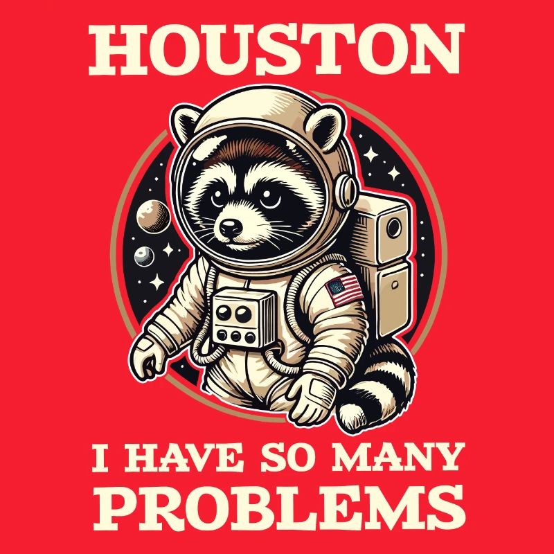 Houston, I have so many problems raccoon