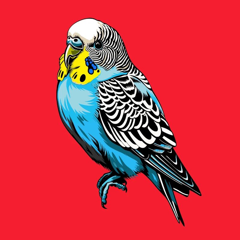 Conception vectorielle de perruche colorée