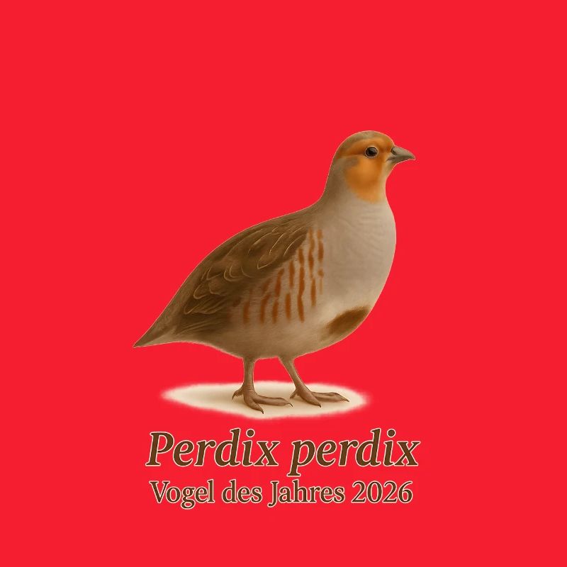 Oiseau de l'année 2026 – Perdrix perdix