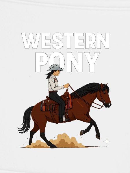 Western Pony Reiter