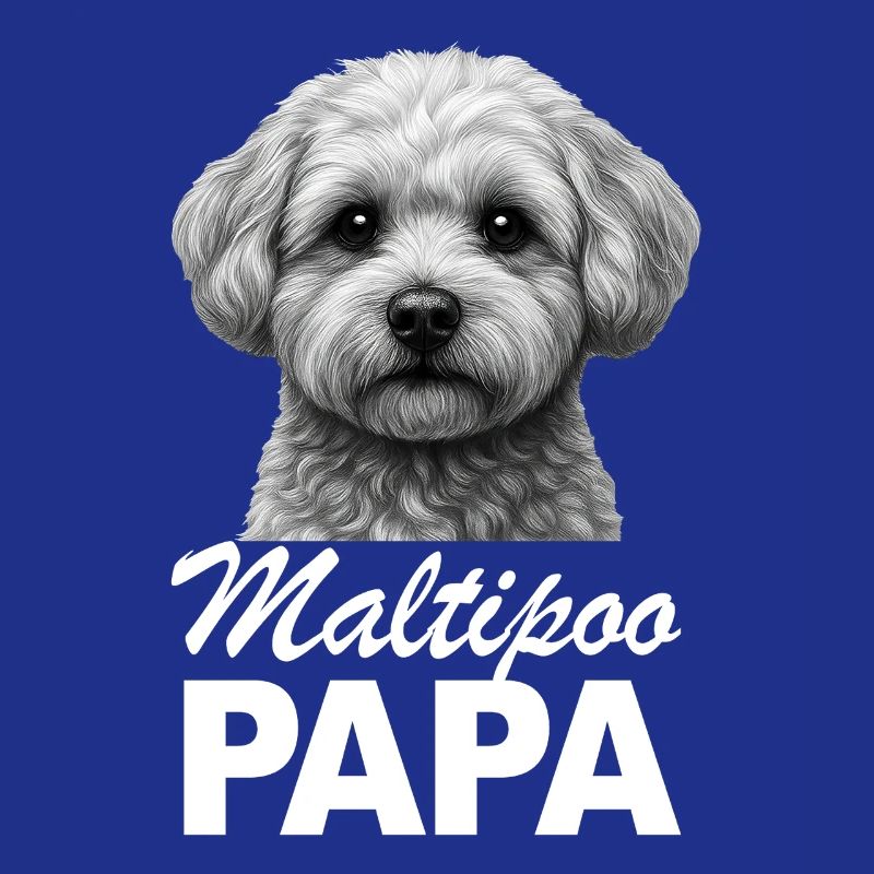 Maltipoo Dad