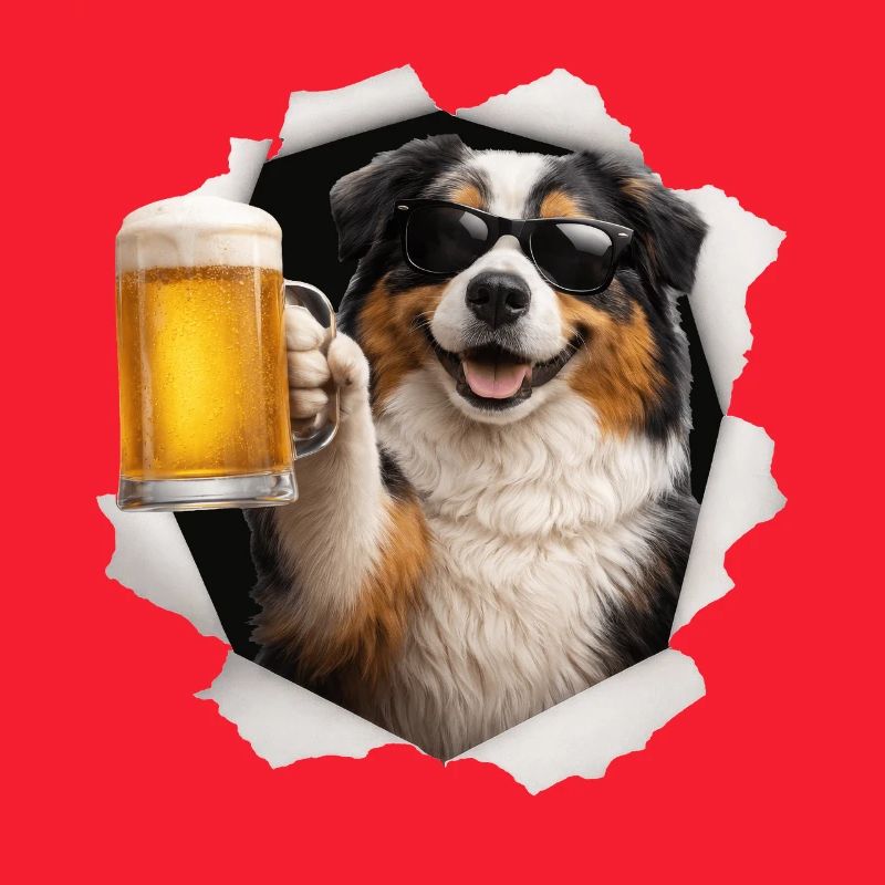 Australian Shepherd Bier