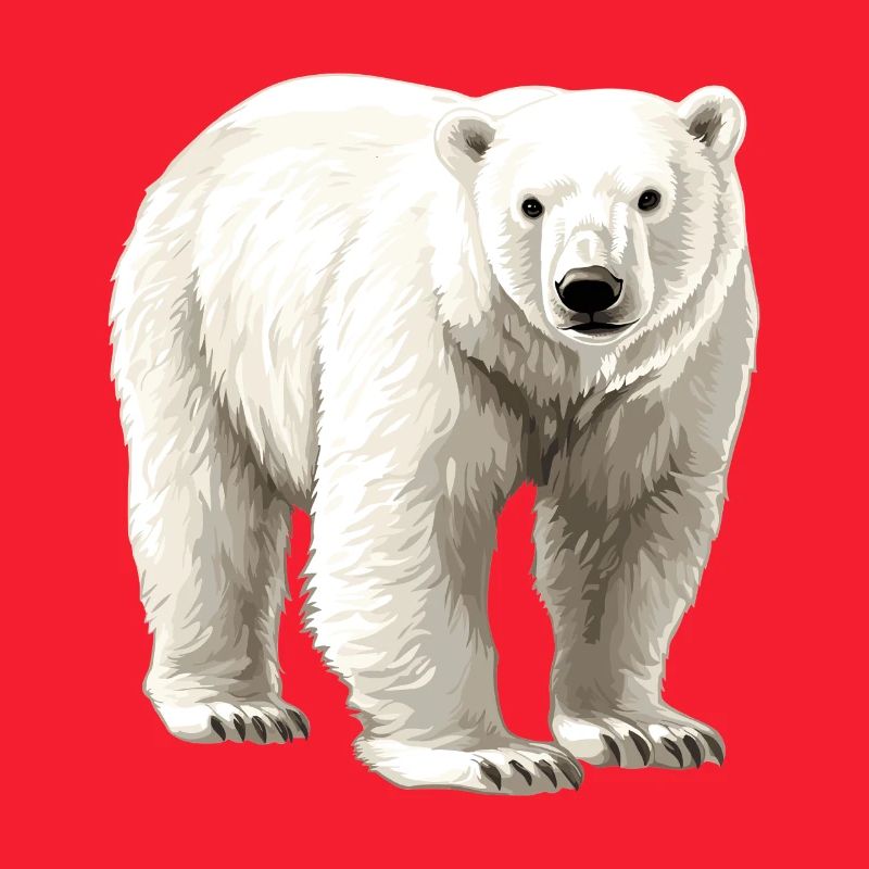 White polar bear illustration
