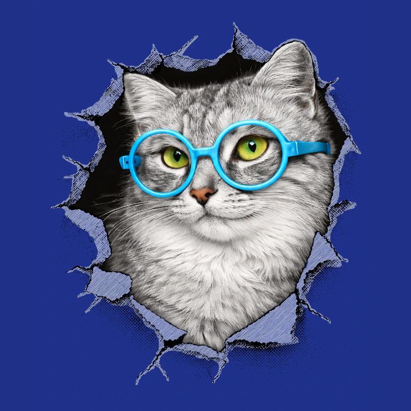 Chat mignon – Arts techniques mixtes Blue Glasses
