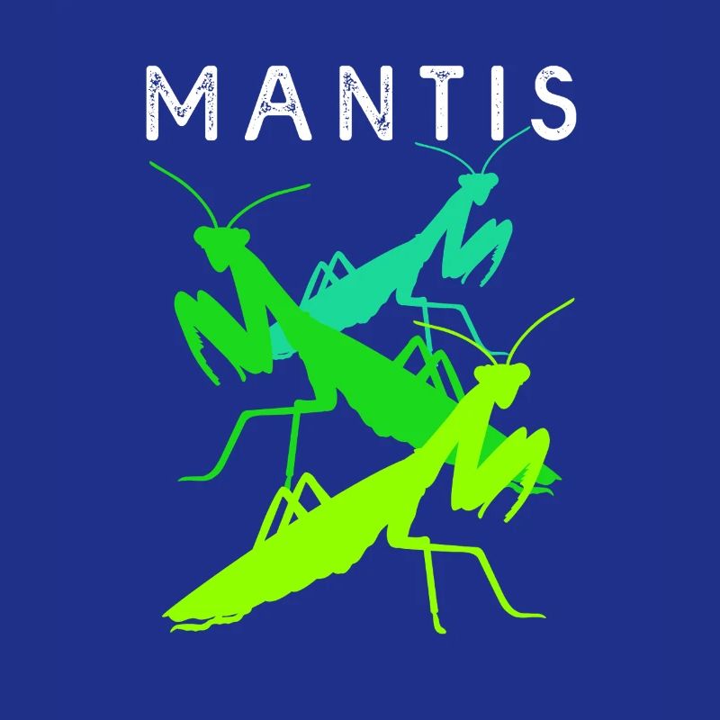 Gottesanbeter Gottesanbeterin Mantis