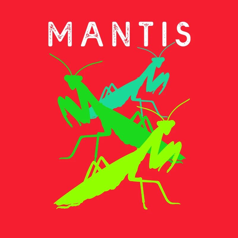 Worshipper Mantis Mantis