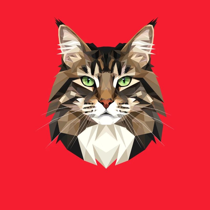 Cat Norwegian Forest Cat Norwegian Forest Cats