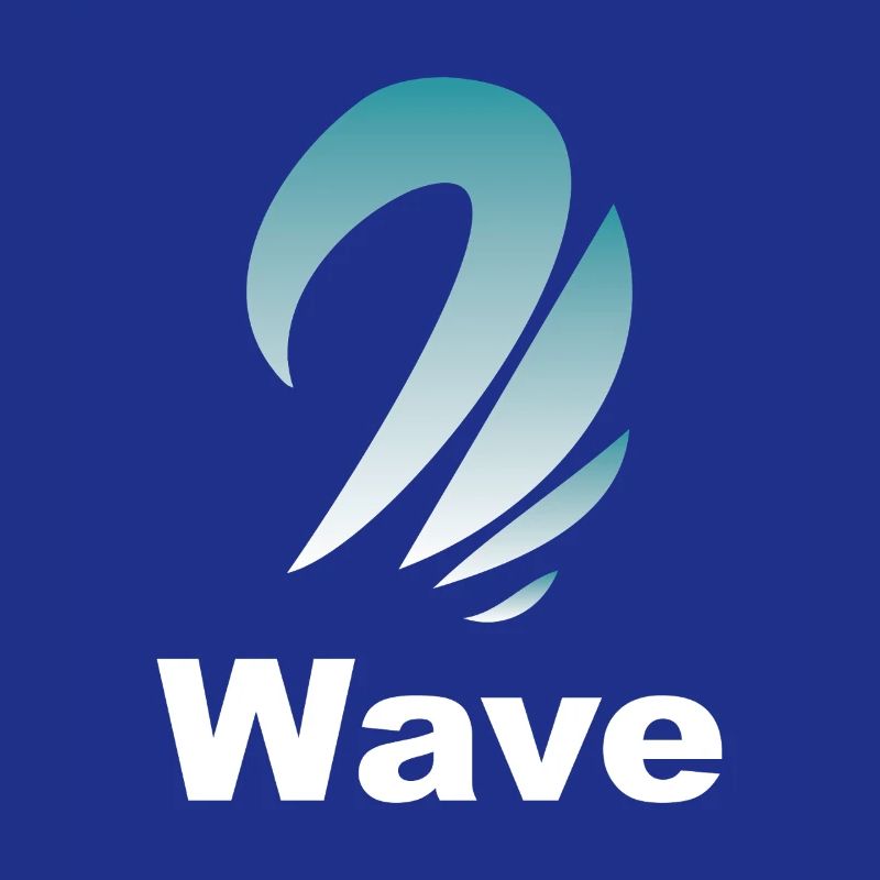 Wave Gradient Logo Design