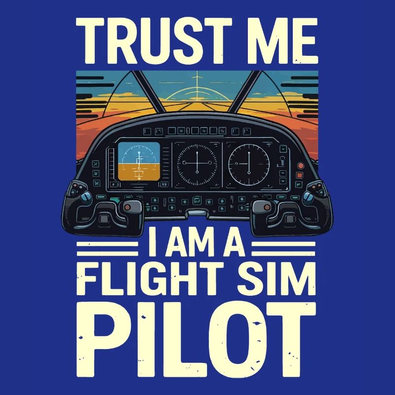 Vertrau mir ich bin ein Flugsimulatorpilot