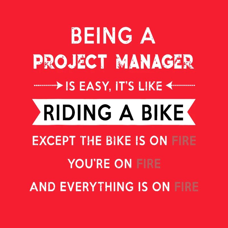Project Manager on Fire