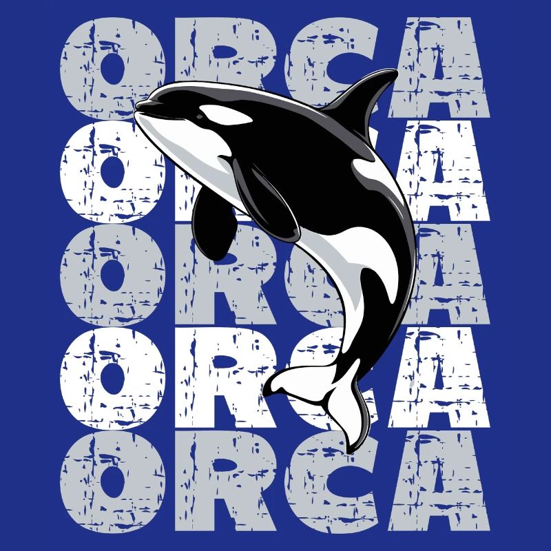  Orca Killerwal Ocean Meer Meeresleben Orca