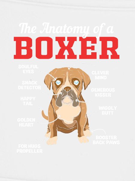 Boxer Hund