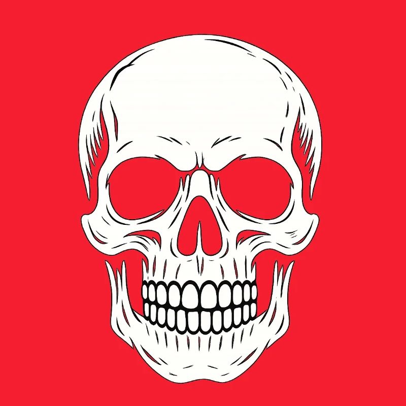 Minimalist Black Linear Skull