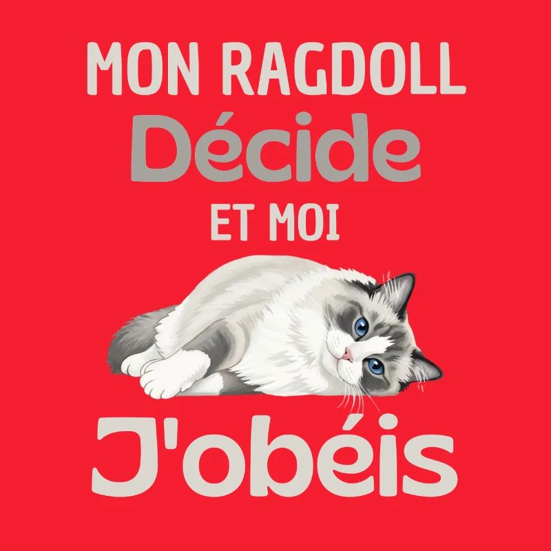 Mon Ragdoll Décide, Moi J’obéis
