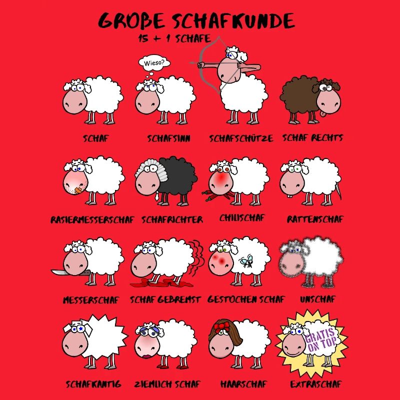 Great sheep knowledge