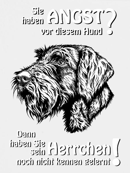 Angst vor DD? Herrchen