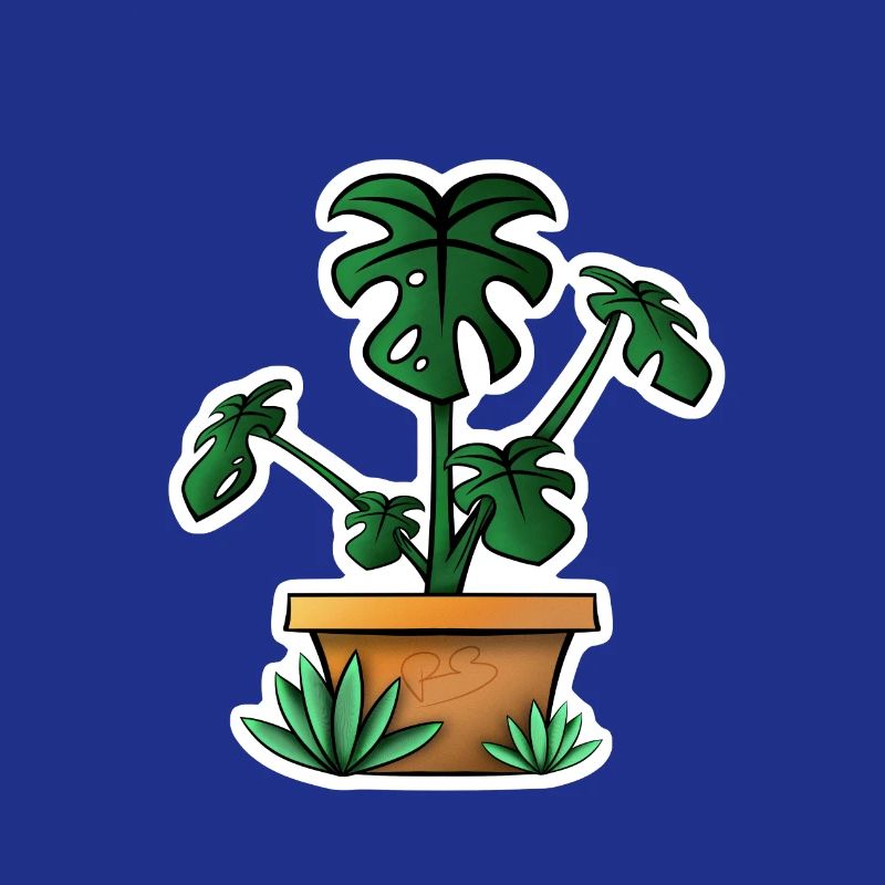 Monstera!