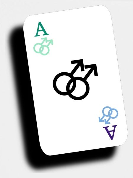 Ace der Schwulen
