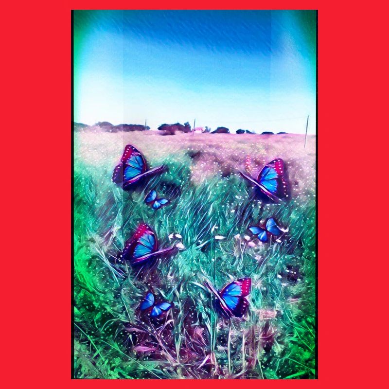 Blaue Schmetterlinge