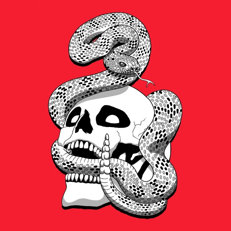 Serpent à sonnette et crâne