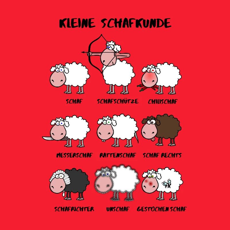 A little sheep knowledge