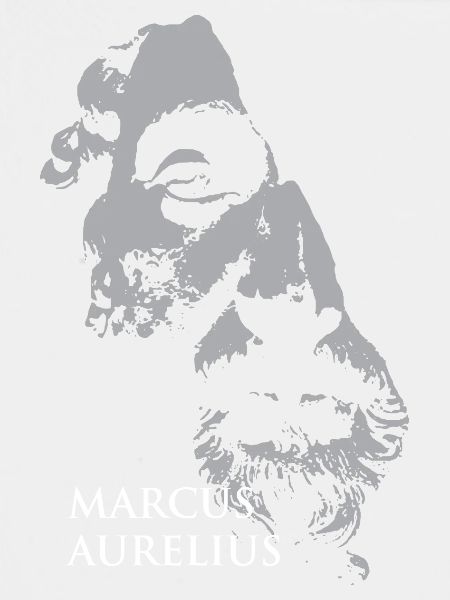 Marcus-Aurelius-Porträt in Grau