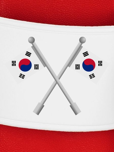 Südkoreanische Flagge