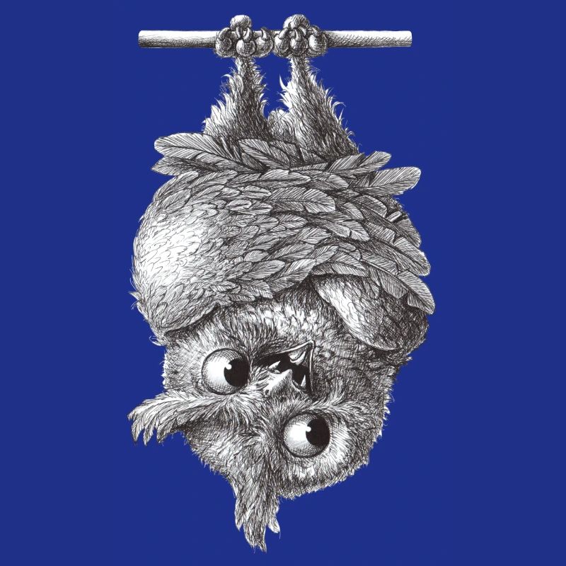 Vampir Eule - Dracula Eule