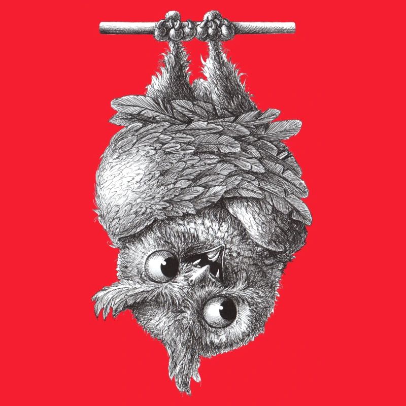 Vampire Owl - Dracula Owl
