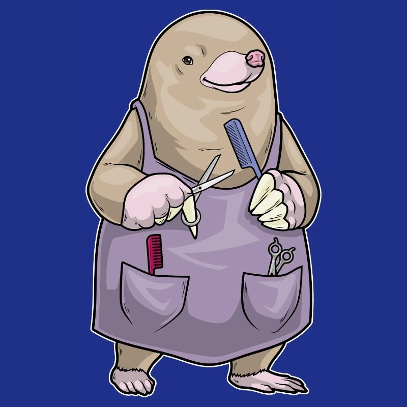 Peigne et ciseaux de coiffeur Mole