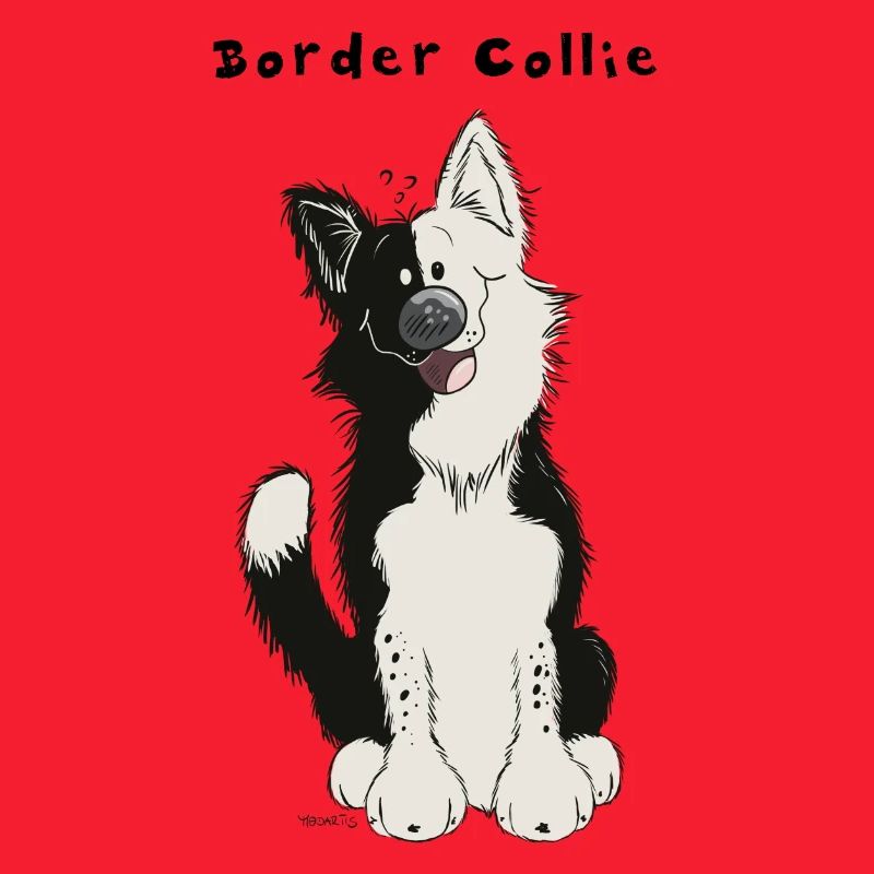 Süßer Border Collie