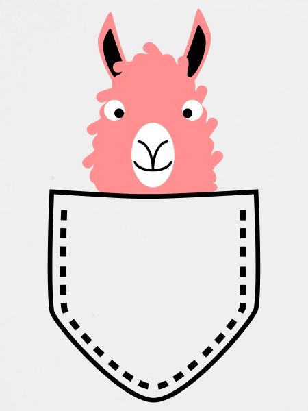 Llama in the bag