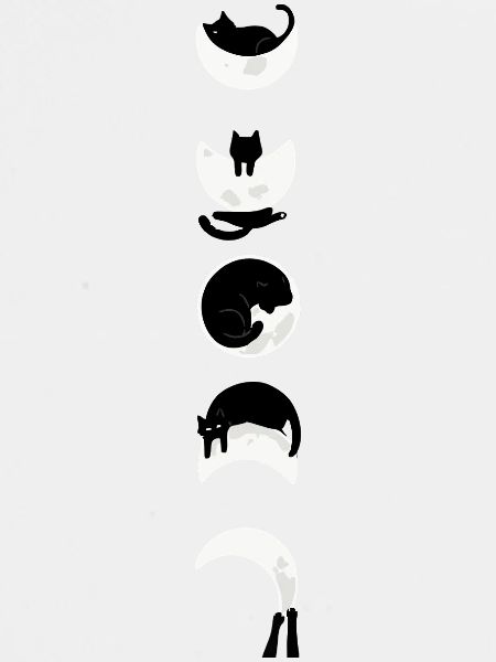 Minimalistische Katzenmondphasen